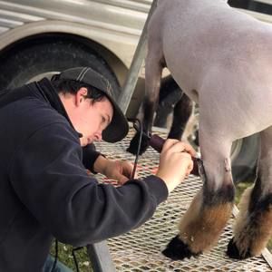 Meet your Posher, Jackson